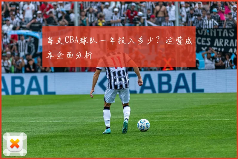 每支CBA球队一年投入多少？运营成本全面分析