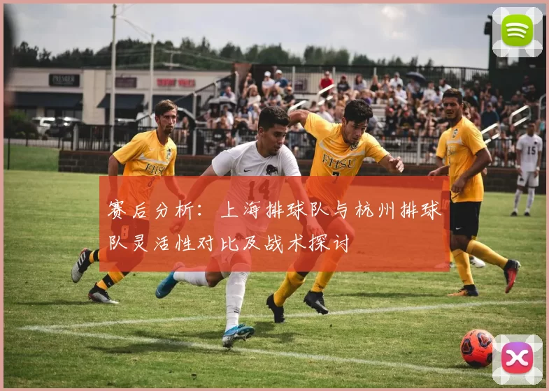 赛后分析：上海排球队与杭州排球队灵活性对比及战术探讨