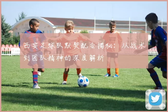 西安足球队默契配合揭秘：从战术到团队精神的深度解析