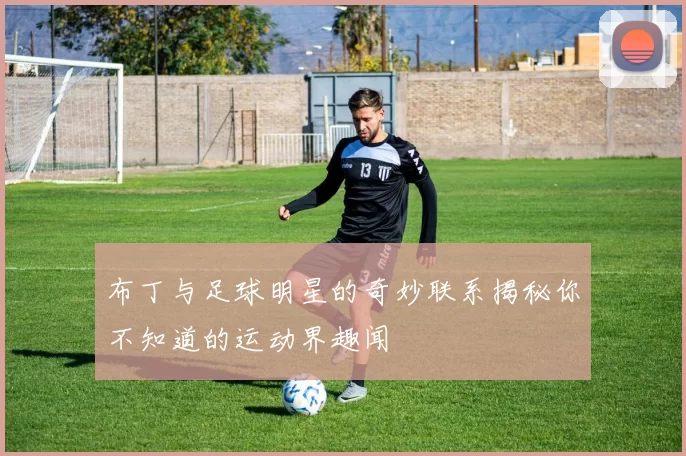 布丁与足球明星的奇妙联系揭秘你不知道的运动界趣闻