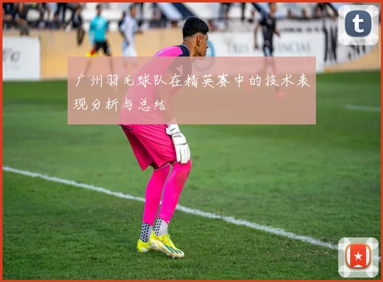 广州羽毛球队在精英赛中的技术表现分析与总结