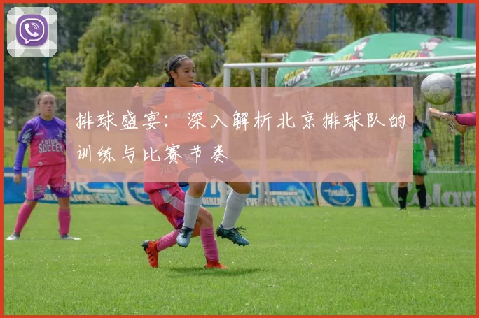 排球盛宴：深入解析北京排球队的训练与比赛节奏