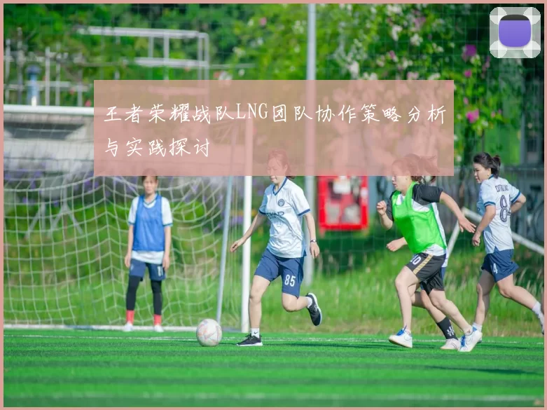 王者荣耀战队LNG团队协作策略分析与实践探讨