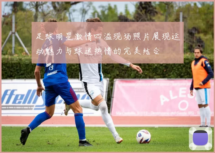 足球明星激情四溢现场照片展现运动魅力与球迷热情的完美结合