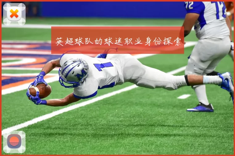 英超球队的球迷职业身份探索