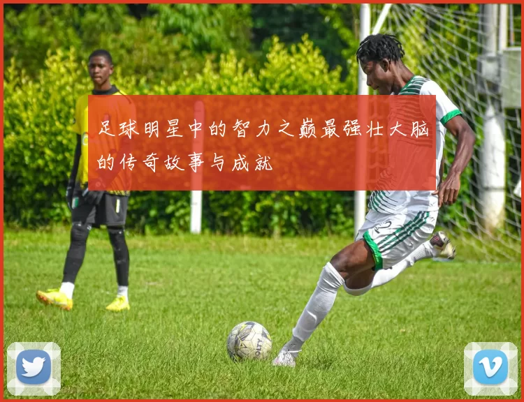 足球明星中的智力之巅最强壮大脑的传奇故事与成就
