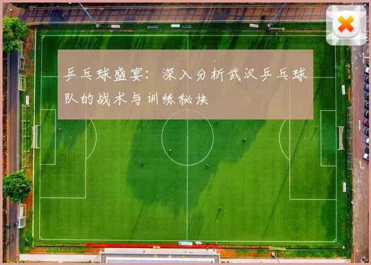 乒乓球盛宴：深入分析武汉乒乓球队的战术与训练秘诀