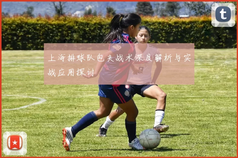 上海排球队包夹战术深度解析与实战应用探讨