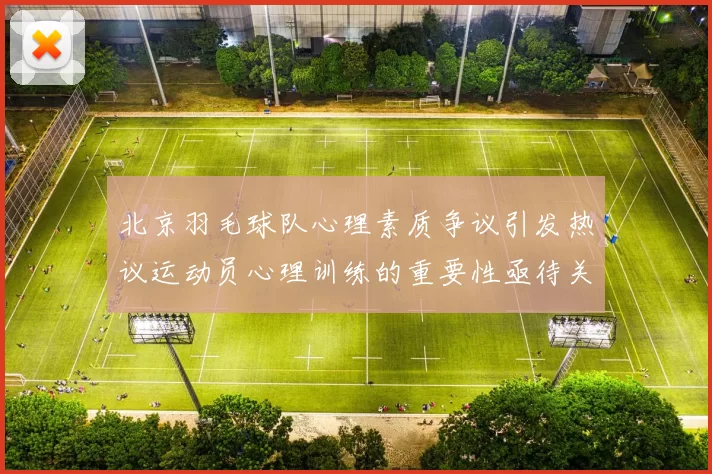 北京羽毛球队心理素质争议引发热议运动员心理训练的重要性亟待关注