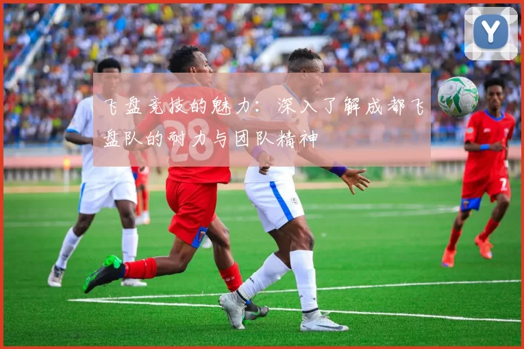 飞盘竞技的魅力：深入了解成都飞盘队的耐力与团队精神