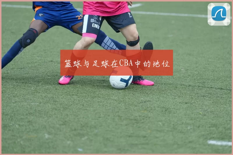 篮球与足球在CBA中的地位