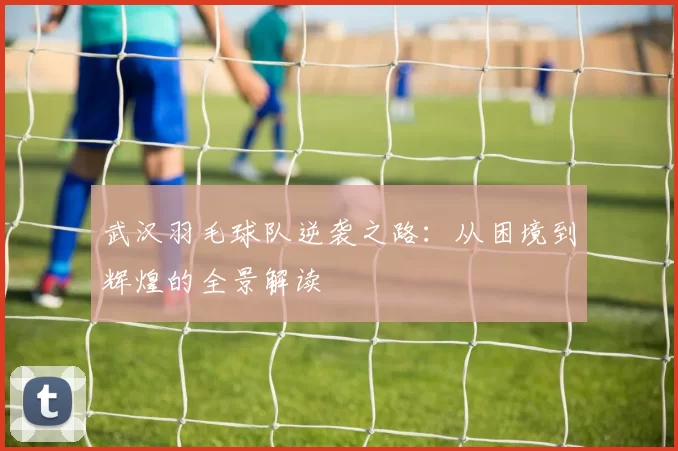 武汉羽毛球队逆袭之路：从困境到辉煌的全景解读