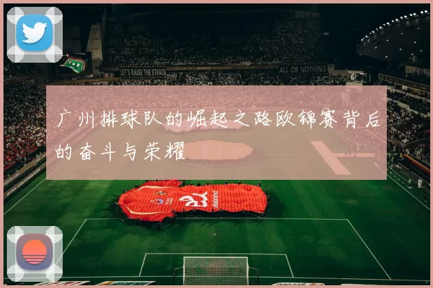广州排球队的崛起之路欧锦赛背后的奋斗与荣耀