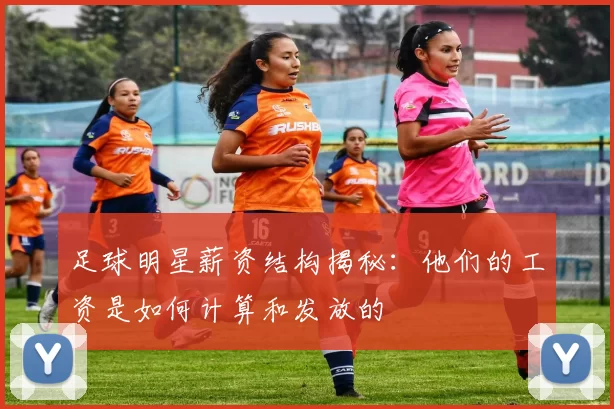足球明星薪资结构揭秘：他们的工资是如何计算和发放的