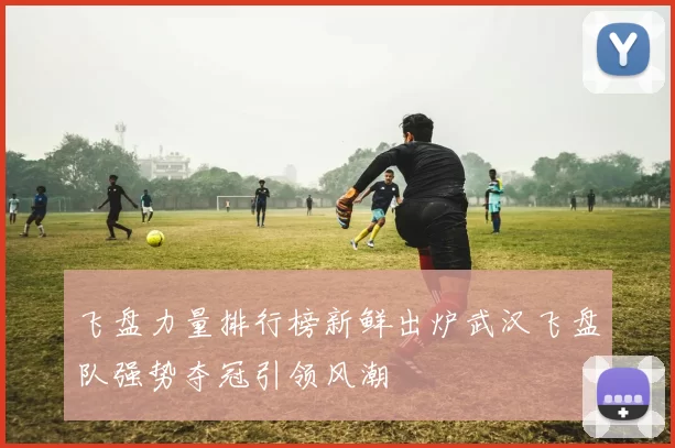飞盘力量排行榜新鲜出炉武汉飞盘队强势夺冠引领风潮