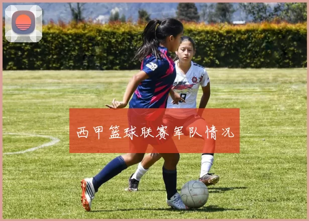 西甲篮球联赛军队情况