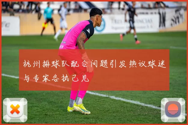 杭州排球队配合问题引发热议球迷与专家各执己见