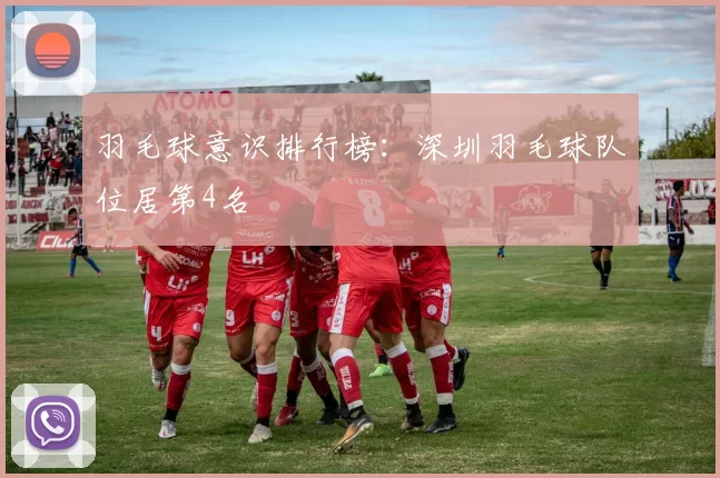 羽毛球意识排行榜：深圳羽毛球队位居第4名