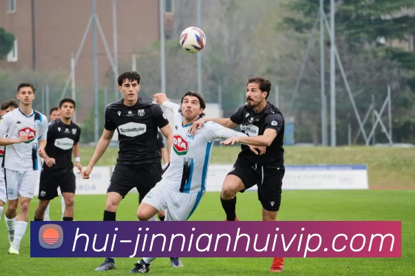 今年会jinnianhui平台生态图